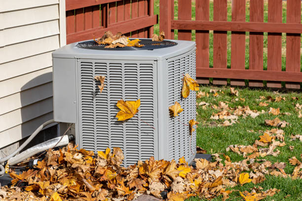 Best Air quality test  in Janesville, IA